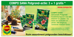 potgrond actie