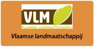 vlm